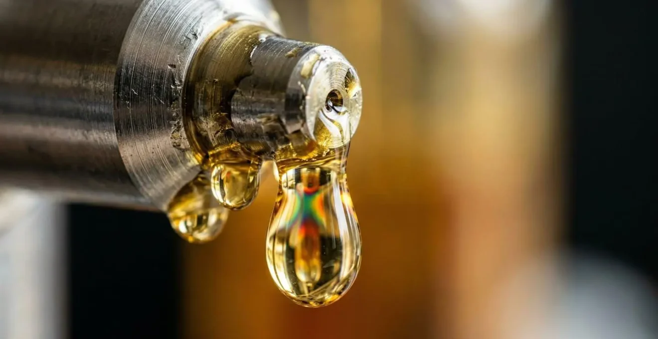 Gros plan sur l'extraction d'huile dorée pure sortant d'un équipement